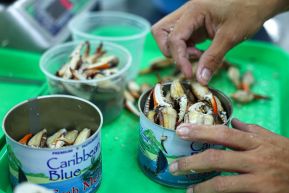 Conoce la variedad de destinos y riquezas de Bluefields