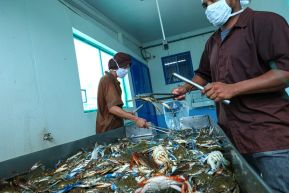 Conoce la variedad de destinos y riquezas de Bluefields