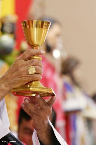 Cardenal Brenes oficia solemne misa en honor a San Marcos Evangelista