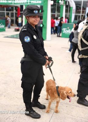 Concierto de Grupo Firme en Nicaragua