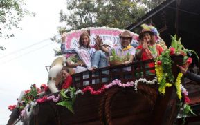 Fiestas de Santo Domingo de Guzmán: Colorido, Alegría, Vitalidad, Arte y Tradición