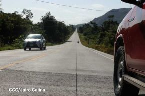 Conmemoración del Día Internacional de los Pueblos Indígenas