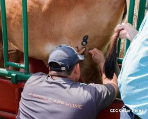 Primera Feria Ganadera Managua 2023