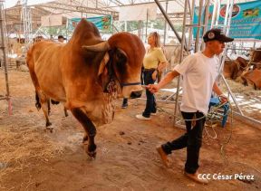 Primera Feria Ganadera Managua 2023