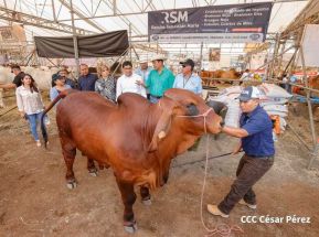 Primera Feria Ganadera Managua 2023