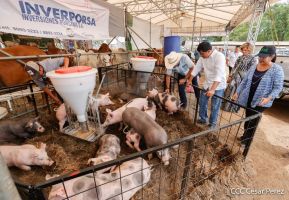 Primera Feria Ganadera Managua 2023