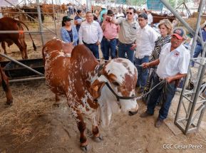 Primera Feria Ganadera Managua 2023