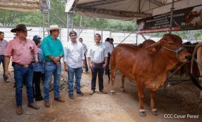 Primera Feria Ganadera Managua 2023