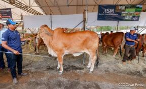 Primera Feria Ganadera Managua 2023