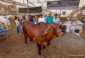 Primera Feria Ganadera Managua 2023
