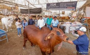 Primera Feria Ganadera Managua 2023