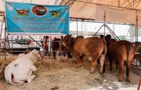 Primera Feria Ganadera Managua 2023