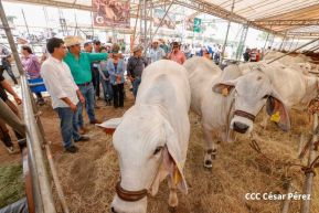 Primera Feria Ganadera Managua 2023