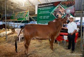 Primera Feria Ganadera Managua 2023