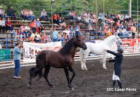 Primera Feria Ganadera Managua 2023