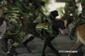 Desfile “Pueblo Ejército” en honor a los 44 años de su fundación del Ejército de Nicaragua