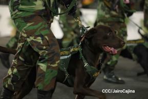 Desfile “Pueblo Ejército” en honor a los 44 años de su fundación del Ejército de Nicaragua