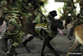 Desfile “Pueblo Ejército” en honor a los 44 años de su fundación del Ejército de Nicaragua