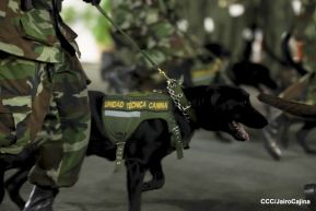Desfile “Pueblo Ejército” en honor a los 44 años de su fundación del Ejército de Nicaragua