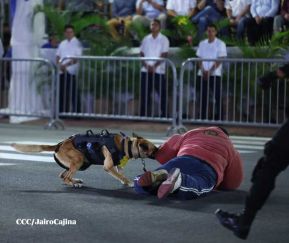 Policía Nacional ratifica su vocación de servicio, lealtad y obediencia 