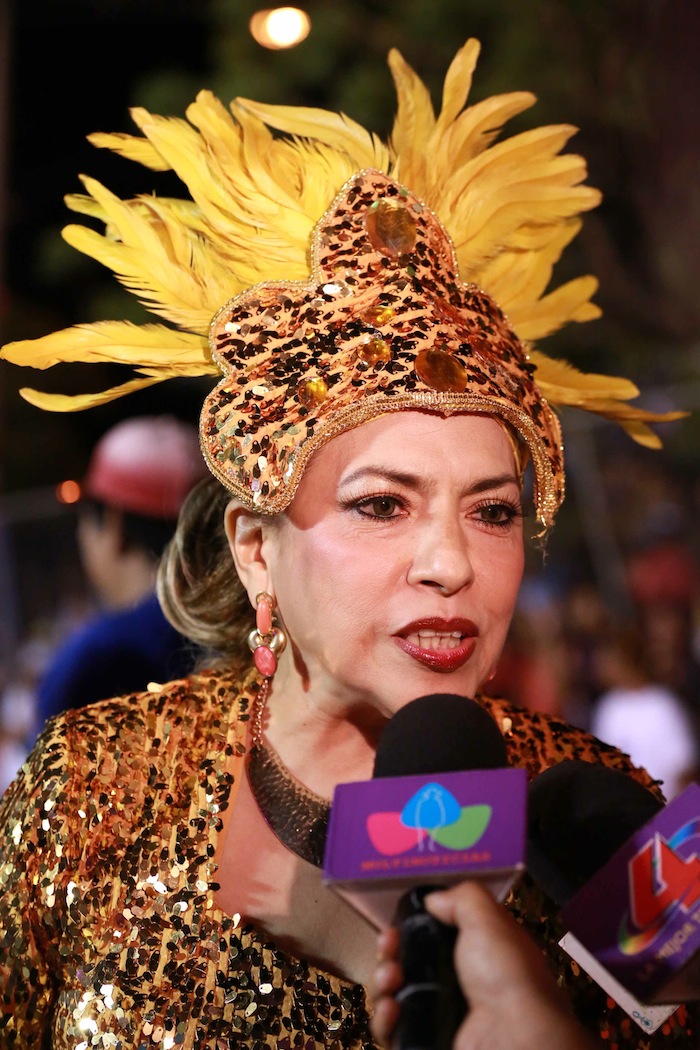 Carnaval Alegría por la Vida 2013