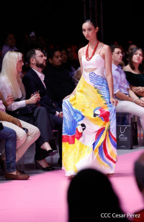 Nicaragua Diseña 2023: ¡Talento Vibrante e Identidad en Evolución Creativa!