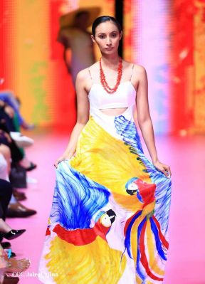 Nicaragua Diseña 2023: ¡Talento Vibrante e Identidad en Evolución Creativa!