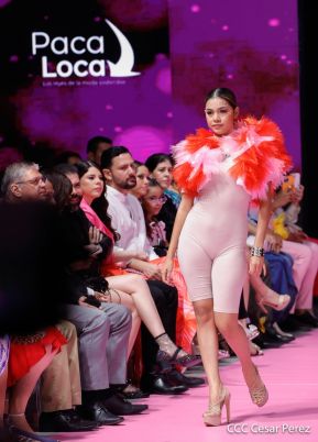 Segundo Día de Nicaragua Diseña 2023: Propuestas frescas, creativas, arriesgadas y novedosas