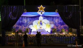 Conozca los altares en honor a la Purísima en la Avenida de Bolívar a Chávez