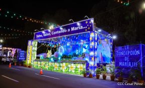 Conozca los altares en honor a la Purísima en la Avenida de Bolívar a Chávez