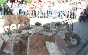 IV Ejercicio de Preparación para Protección de la Vida ante Multiamenazas