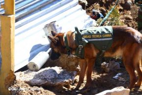 IV Ejercicio de Preparación para Protección de la Vida ante Multiamenazas