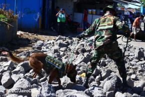 IV Ejercicio de Preparación para Protección de la Vida ante Multiamenazas