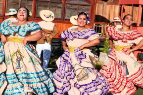 Primer Festival Internacional de las Guayaberas en Granada