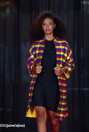 Primer Festival Internacional de las Guayaberas en Granada