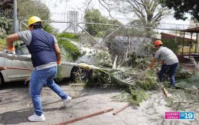 Primer Ejercicio Nacional de Prevención para Proteger la Vida 2024