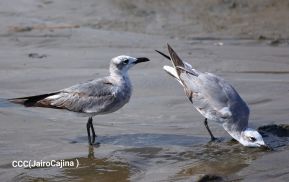 ¡Verano de  Amor 2024!