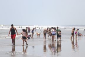 ¡Verano de  Amor 2024!