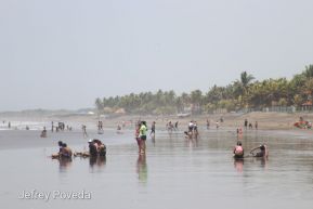 ¡Verano de  Amor 2024!