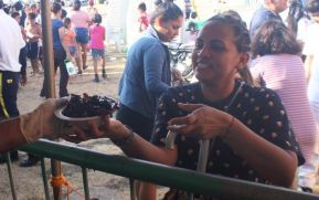 ¡Verano de  Amor 2024!