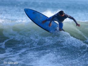 ¡Verano de  Amor 2024!