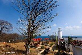 ¡Verano de  Amor 2024!