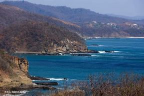 ¡Verano de  Amor 2024!