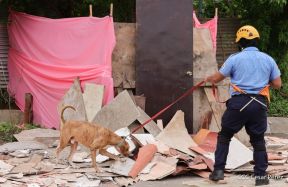 II Ejercicio Nacional de Preparación para Proteger la Vida en Situaciones Multiamenazas del año 2024.