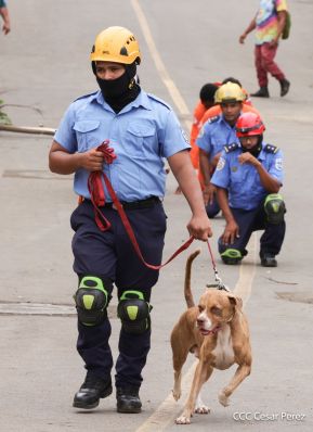 II Ejercicio Nacional de Preparación para Proteger la Vida en Situaciones Multiamenazas del año 2024.