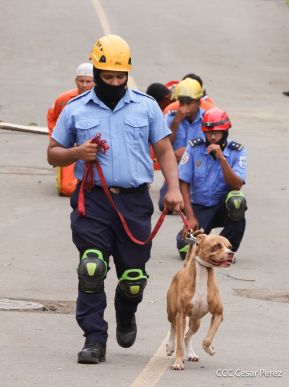 II Ejercicio Nacional de Preparación para Proteger la Vida en Situaciones Multiamenazas del año 2024.