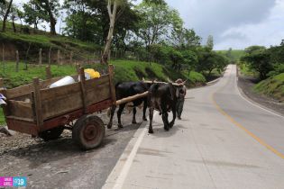 Inauguración tramo de Carretera en Río Blanco 