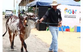 Feria Ganadera Managua 2024