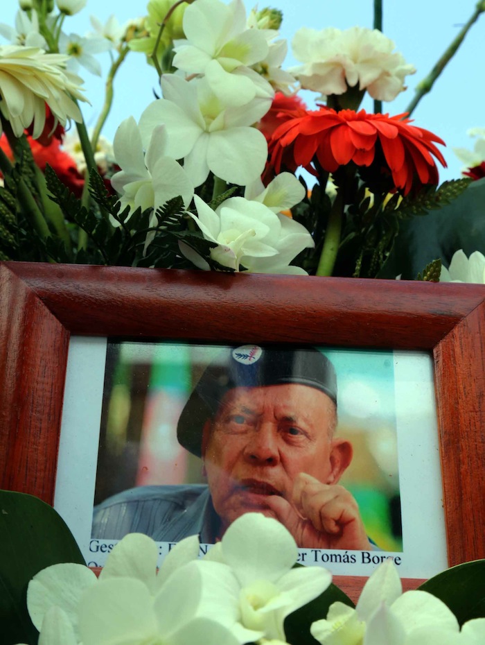 Una Flor para Tomás