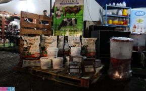 Feria Ganadera Managua 2024